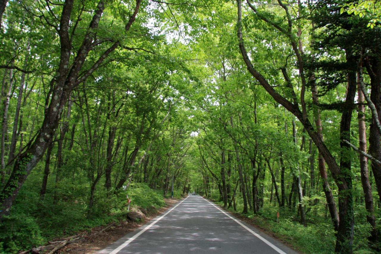 Twin-Line Hotel Karuizawa Japan Eksteriør billede