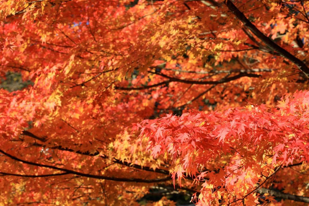Twin-Line Hotel Karuizawa Japan Eksteriør billede